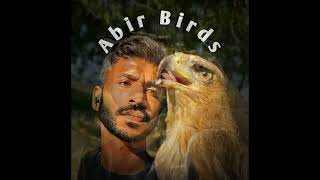 Abir birds || #abirbirds 💥💯