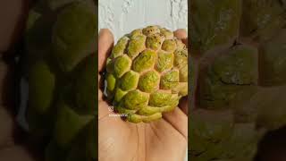 #Throwback #Curacao #Caribbean #fruit #Sugarapple #Anonasquamosa #homegrown