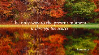 The only way to the present moment is through the senses