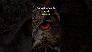 FATOS e CURIOSIDADES sobre o mundo ANIMAL