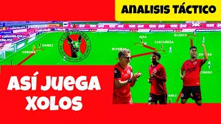 Así juega Xolos de Juan Carlos Osorio 🇲🇽 (Apertura 2024)