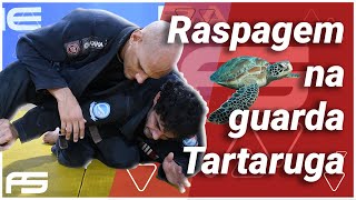 Raspagem do 4 apoio!!! Como fazer raspagem na guarda tartaruga!!!