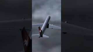 Birgenair flight 301 #shorts #planecrash