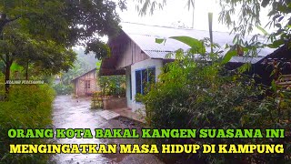 Jiwa Teras lebih Tenang Berada Di Kampung Saat Musim Hujan jadi Kangen orang Tua Di Kampung