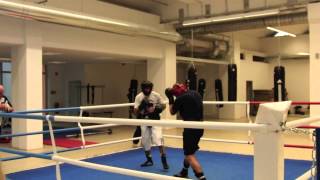 Arthur Abraham beim Sparring