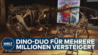 LONDON: Jurassic Sale - Dino-Fossilien für 15 Millionen Euro unter den Hammer gebracht!