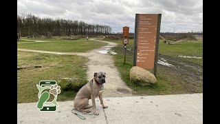 Losloopgebied Noordsche Veld Norg Drenthe