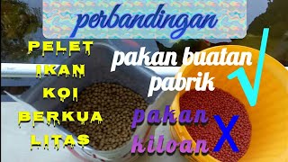 Perbedaan pakan koi pabrikan lokal vs pakan kiloan