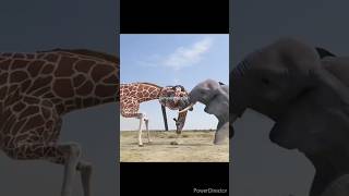 giraf vs elephant#shorts#viral#nature#elephant