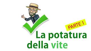 La Potatura della Vite - Parte 1 - Legnaia Formazione