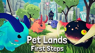 Pet Lands : First Steps - First Look