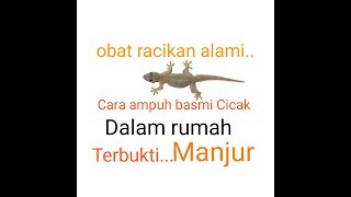 Cara ampuh basmi Cicak di dalam rumah