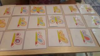 Butterfly Symmetry Activity