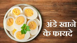 अंडे खाने के फायदे और नुकसान | Health Benefits Of Eating Egg 🥚 |