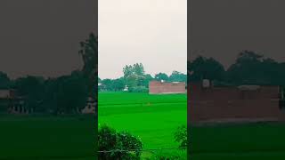 16 September 2024 #shorts  #shortvideo #villagephotography #hindisong its pradip tube