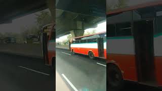 KONTAINER BLONG KANAN,BUS WARGA BARU,#huntingbus #huntingtruk #shortviral