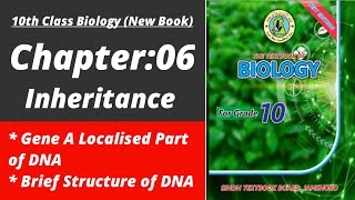 Structure of DNA class 10| Biology class 10 chapter 6 | Class 10 new biology book