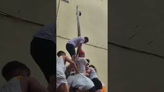 People trying to pick the ham on top #latomatina #spain #2024 #food #festival #tomatofestival(2)