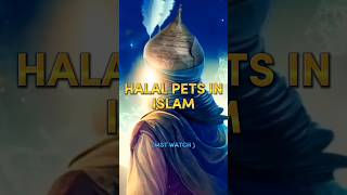 Halal Pets In Islam 🕋 #Allah #viral #success #islam #youtubeshorts #foryou #2023 #islamicvideo