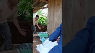 kena prank mang capruk #comedysunda #shortvideos #shorts