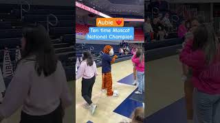 AUBIE💙🧡. Auburn University Ten Time Mascot National Champion. #auburntigers #mascot #auburn#short