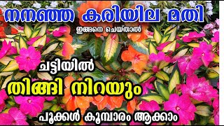 മണ്ണും വളവു എല്ലാതെ ചെടി നടാം .../ചട്ടിയിൽ തിങ്ങി നിറയും 😱/poppy vlogs/malayalam