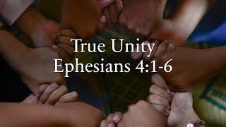 True Unity - Hiram Kemp