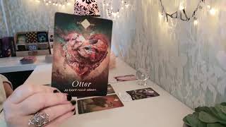 🩷 Schorpioen💧 Opbloeien & Schaduw💧 Tarot Reading 2024