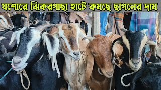 ছাগলের দামদরের নতুন আপডেট ২০২৪ এর নভেম্বর শেষ। ঝিকরগাছা হাটে ছাগলের ভরপুর 