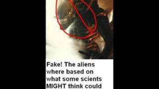 Fact or Fake(many misteries)