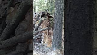 Awesome Find in the Kootenay Mountains!!! ,Old Gold Miners cabin  and his 5  Gold Mines!!! part.1...