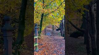 Surah baqarah last 2 ayah. Morning walk with friends in tandle hill country park. #surah #ukmuslims