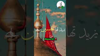 Yazeed tha Hussain hai  / Shan_e_ahle bait / #short islamic video / Muhammadi Pak TV