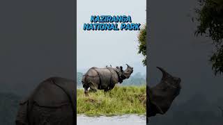 Top 5 Safari Parks in India #animals #education #subscribe