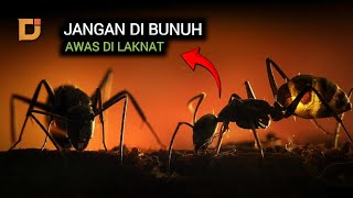 TERNYATA ! HEWAN INI TIDAK BOLEH DI BUNUH DALAM ISLAM | DUNIA ISLAM