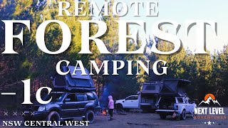 Remote Camping Adventure In a Hidden Forest!