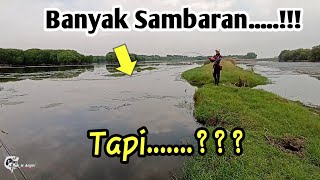 Casting ikan Gabus || Ultralight Casting Capung 702