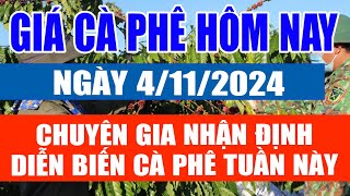 Giá cà phê hôm nay 4/11: chuyên gia nhận định diễn biến cà phê tuần này