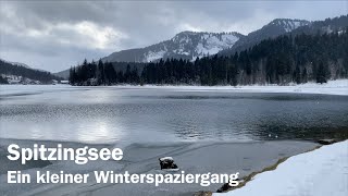 Spitzingsee: Ein winterlicher Spaziergang (in 4K)