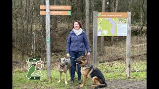 Hondenlosloopgebied het leesten te Ugchelen (Apeldoorn)