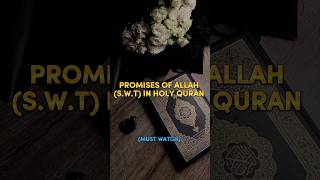 Promises Of Allah (S.W.T) In Holy Quran 🕋🥀 #Allah #islam #success #muhammadﷺ #islamicvideo #shorts