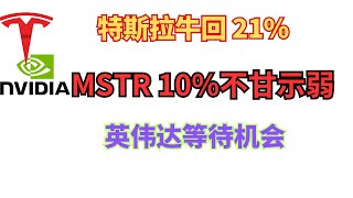 特斯拉21%！牛回，mstr不甘示弱10% nvda 随时准备