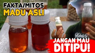 🐝 Fakta dan Mitos Madu Asli! Sudah Tau?