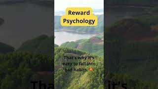 Reward Psychology: How Small Rewards Lead to Big Habits