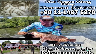 Memancing Di Sungai Menumbok Sabah | | Abang Ipar Saya Strike Ikan Merah #MangroveJack