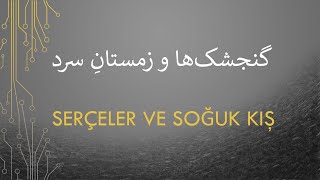 Serçeler ve Soğuk Kış   /   گنجشک¬ها و زمستانِ سرد