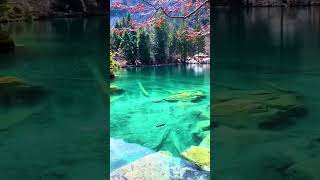 Lake#shorts #youtubeshorts #viralvideo #viral