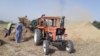 New Holland Fiat 480 Warking On weet Tharishar || Tractor Info