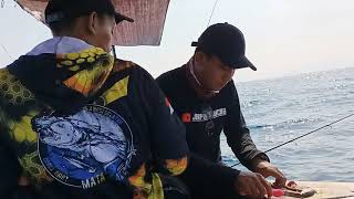 UMPAN MANCING DASARAN DI LAUT || JEMPONG MANCING#JM-08