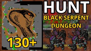 TIBIA - HUNT PALADIN 130+ BLACK SERPENT DUNGEON LIZZARD CHOSEN - RUBINOT